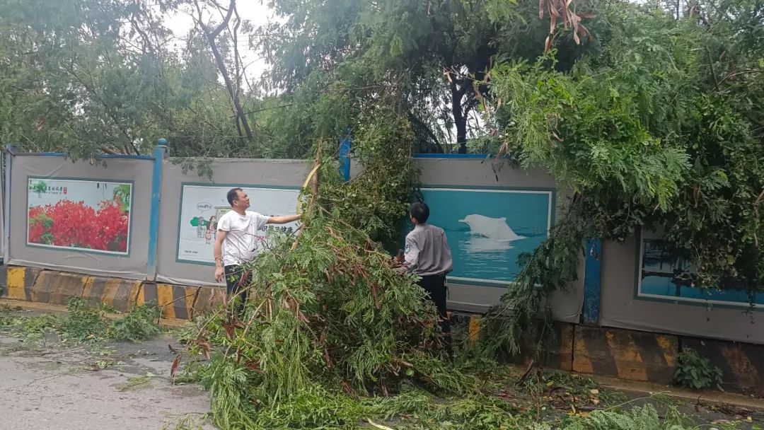 灾前防御闻风而逃 灾后自救迎风而上——志翔实业抗击台风“杜苏芮”纪实_赢天堂