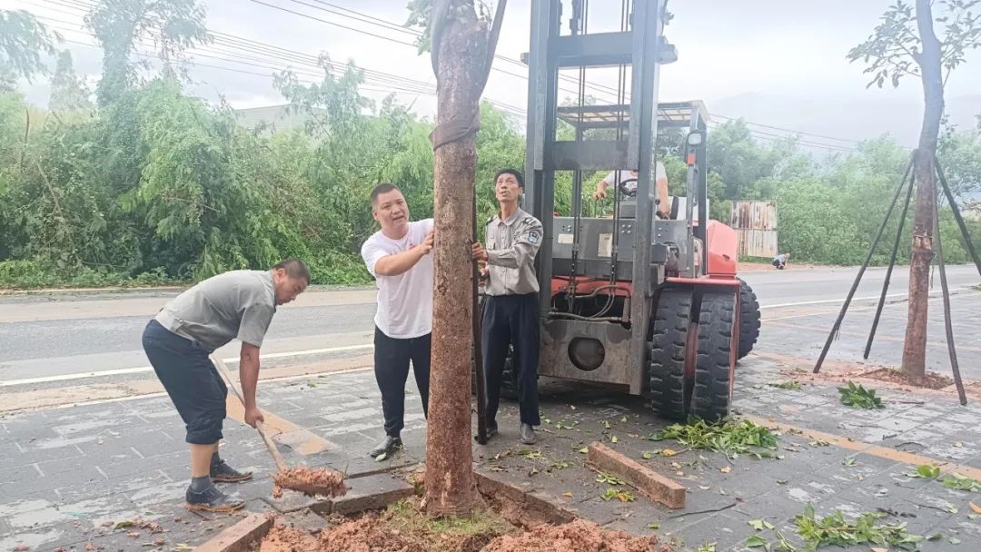 灾前防御闻风而逃 灾后自救迎风而上——志翔实业抗击台风“杜苏芮”纪实_赢天堂